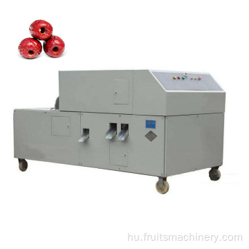Kereskedelmi vagy ipari felhasználású cseresznye pitter gép